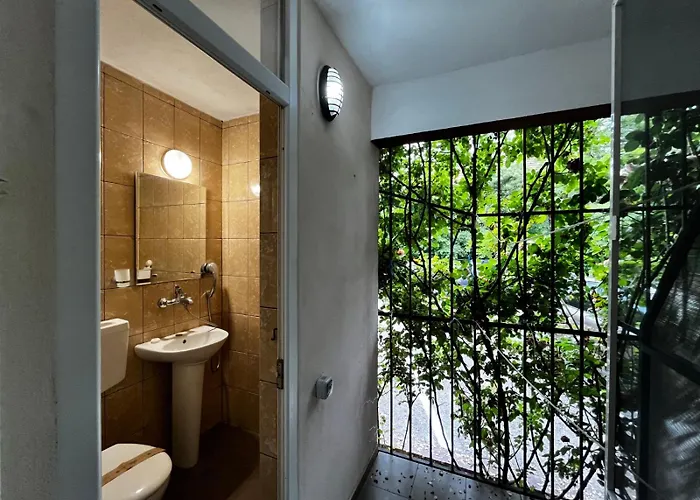 Fagaras * エフォリエ・ノルド